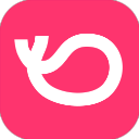 灰豚数据app