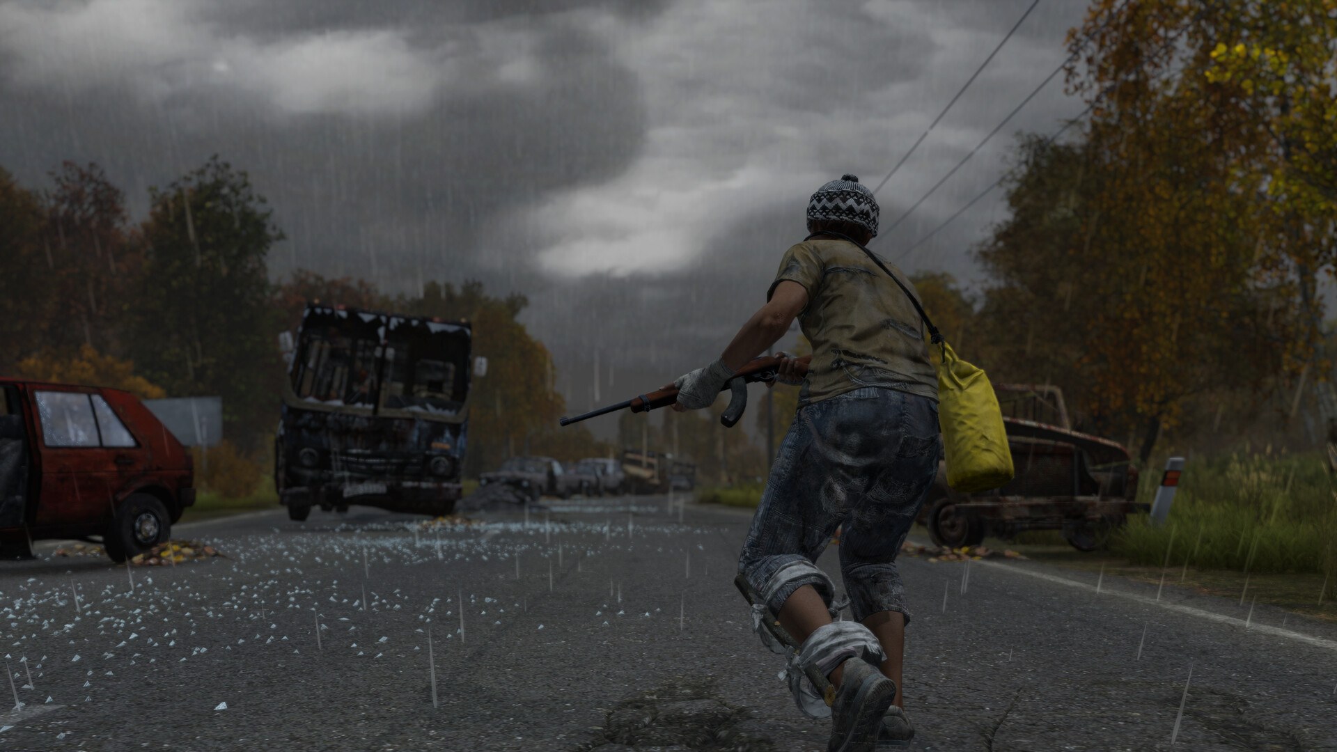 DayZ 游戏截图 1